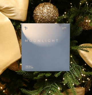 Gift Sensory Moonlight